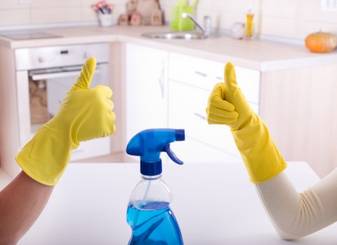 Technician treating a pet stain on a carpet in an Uxbridge home
