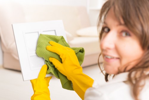 Professional carpet cleaning team reviewing a room assessment
